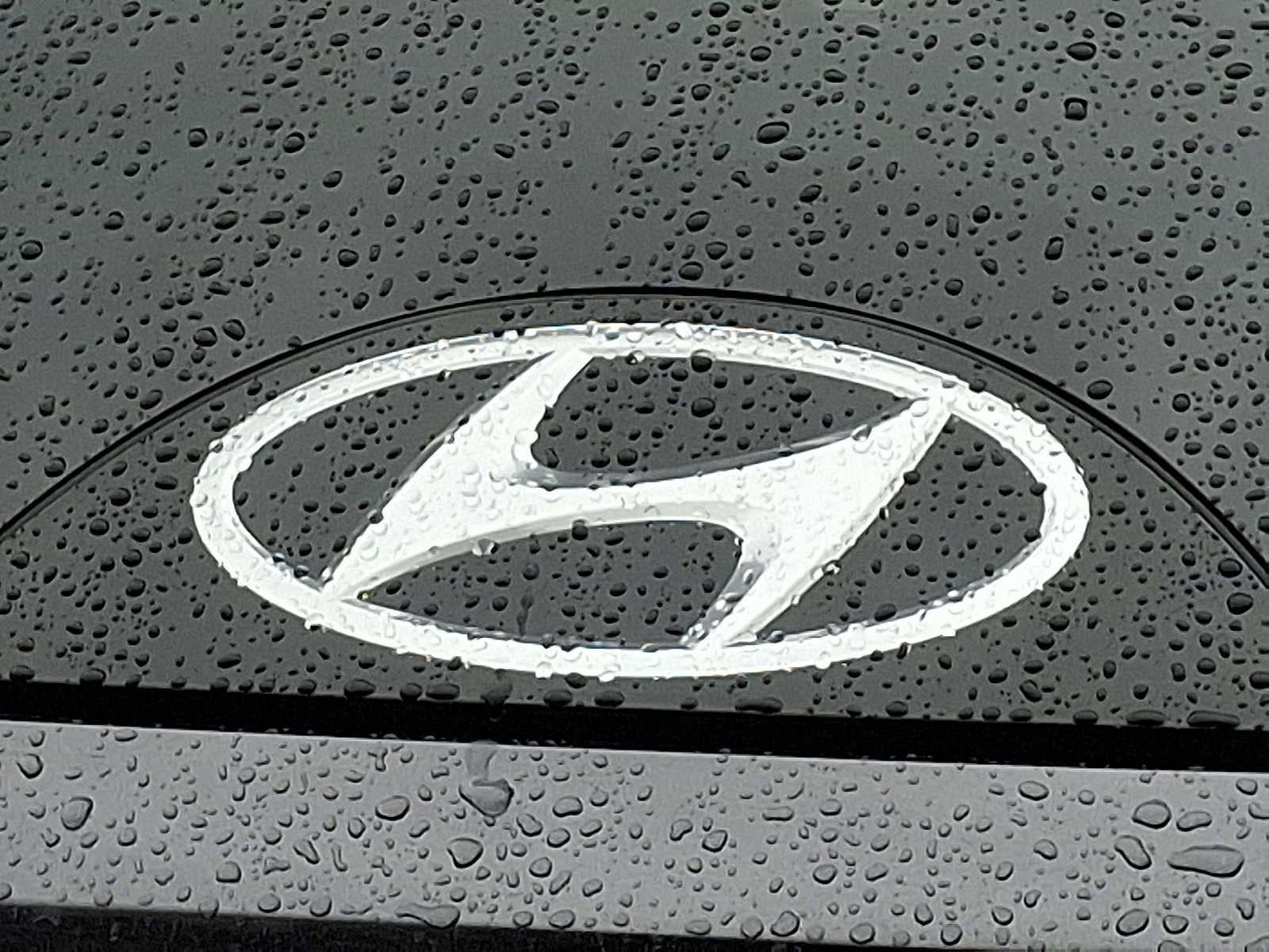 2022 Hyundai Tucson N Line