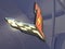2025 Chevrolet Corvette Stingray 1LT