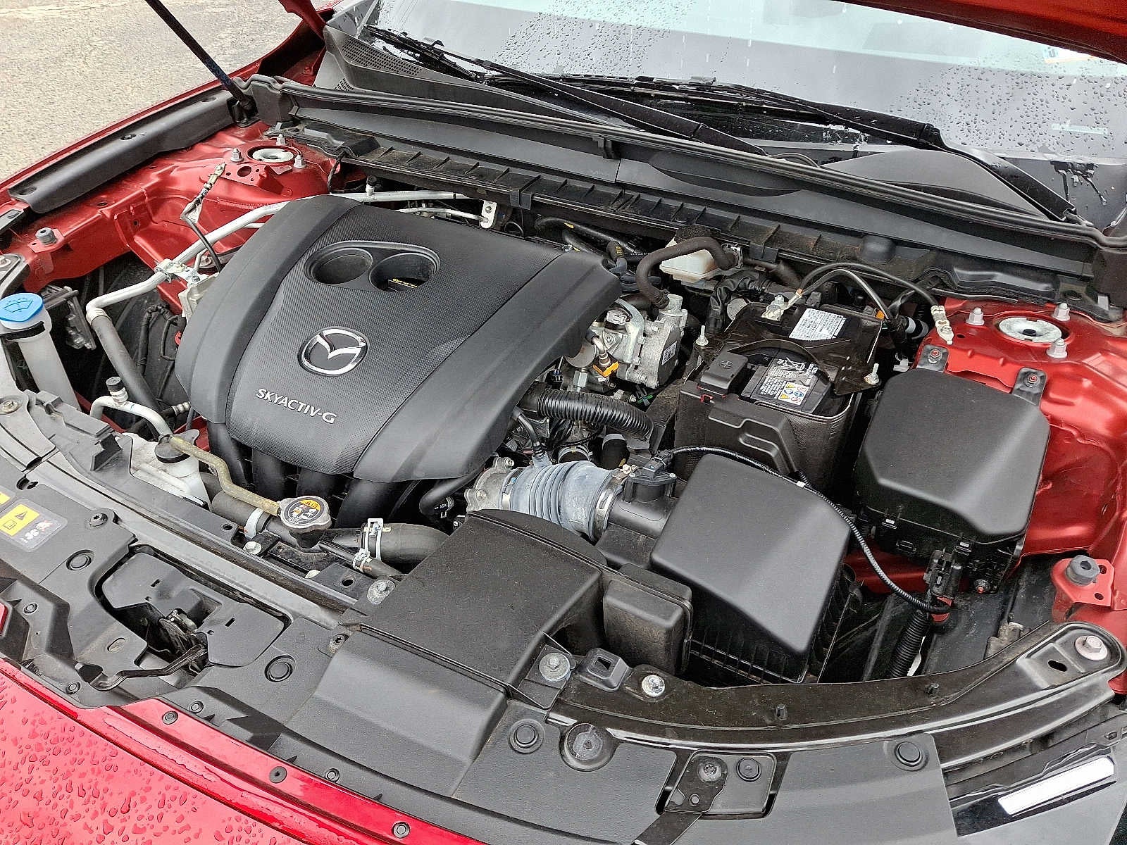 2024 Mazda Mazda CX-50 2.5 S Premium Plus Package